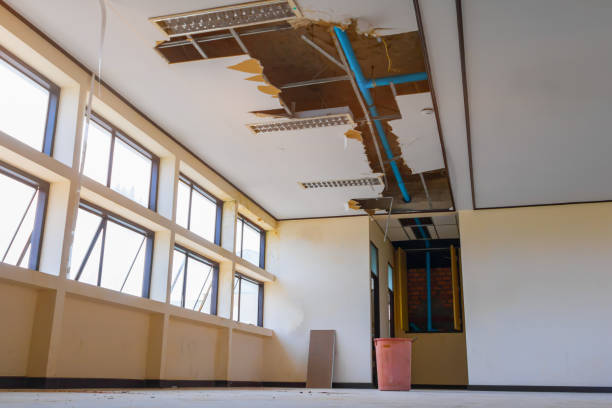 Best Water damage restoration company  in Weaver, AL