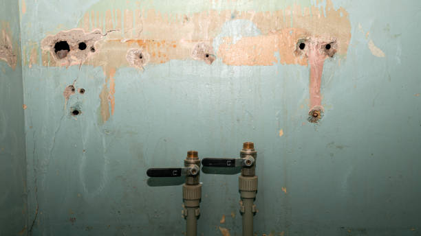 Trusted Weaver, AL Water damage restoration Experts