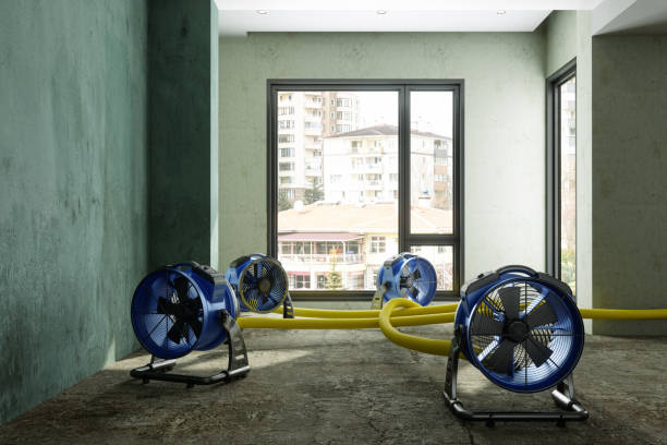 Best Residential water damage restoration  in Weaver, AL